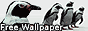 visualparadox-penguins88x31.gif