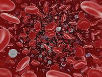 Bloodstream