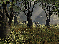 Mule Deer