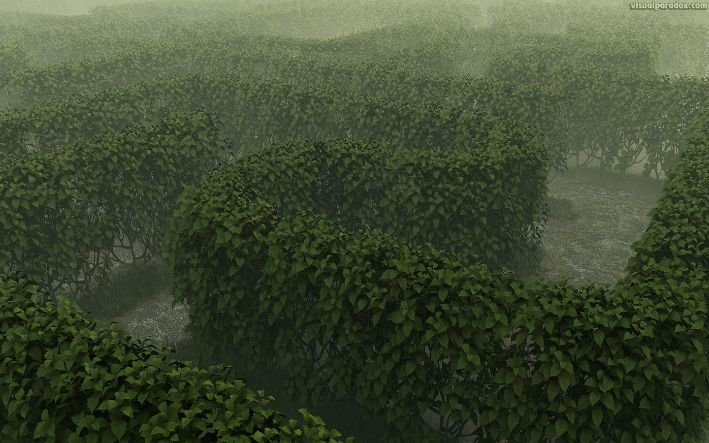 garden, path, labyrinth, deadend, lost, haze, fog, bush, shrub, solve, 3d, wallpaper, widescreen