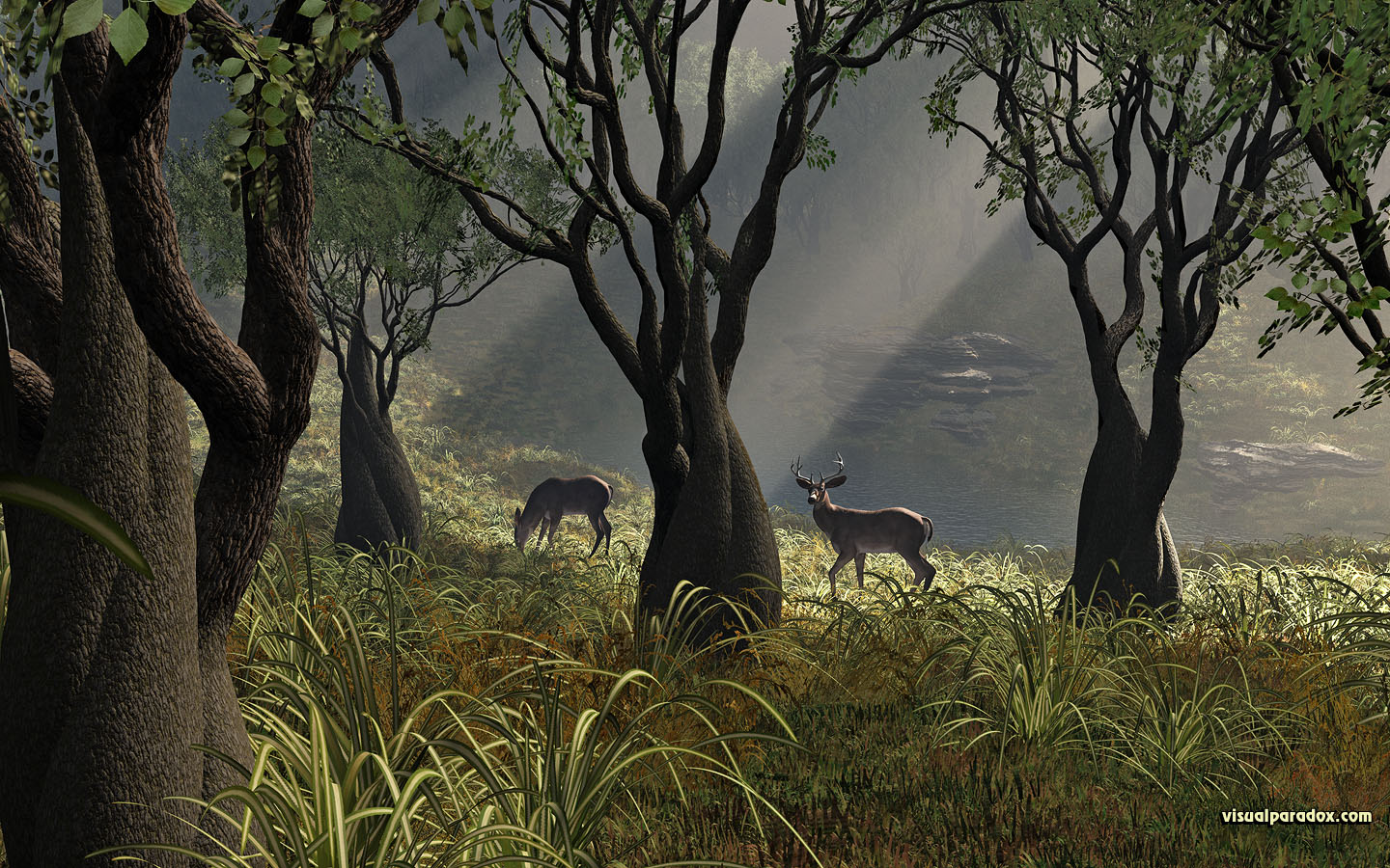 deer, crooked, forest, woods, glen, sun, rays, grass, trees, lake, buck, doe, 3d, wallpaper, widescreen