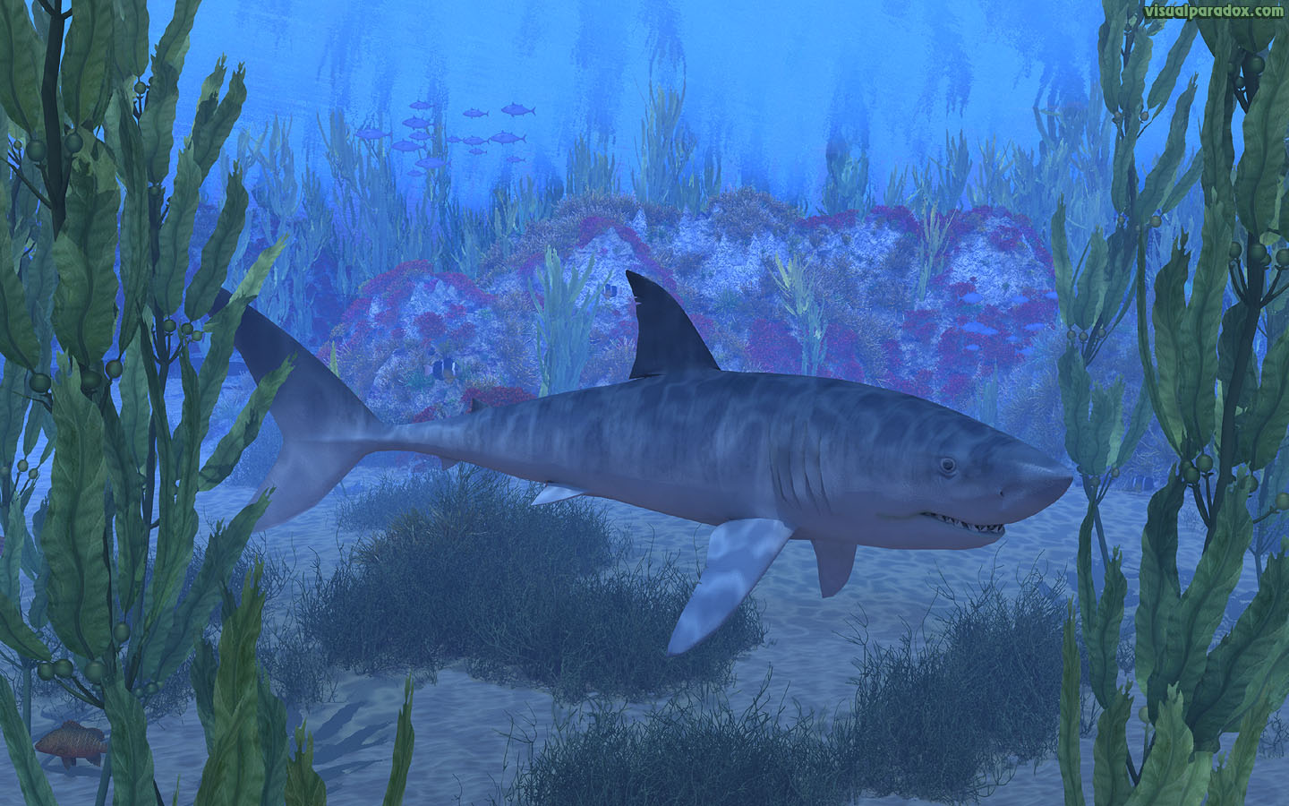 shark, white, blue, great, swim, jaws, kelp, sea, ocean, water, underwater, 3d, wallpaper, widescreen