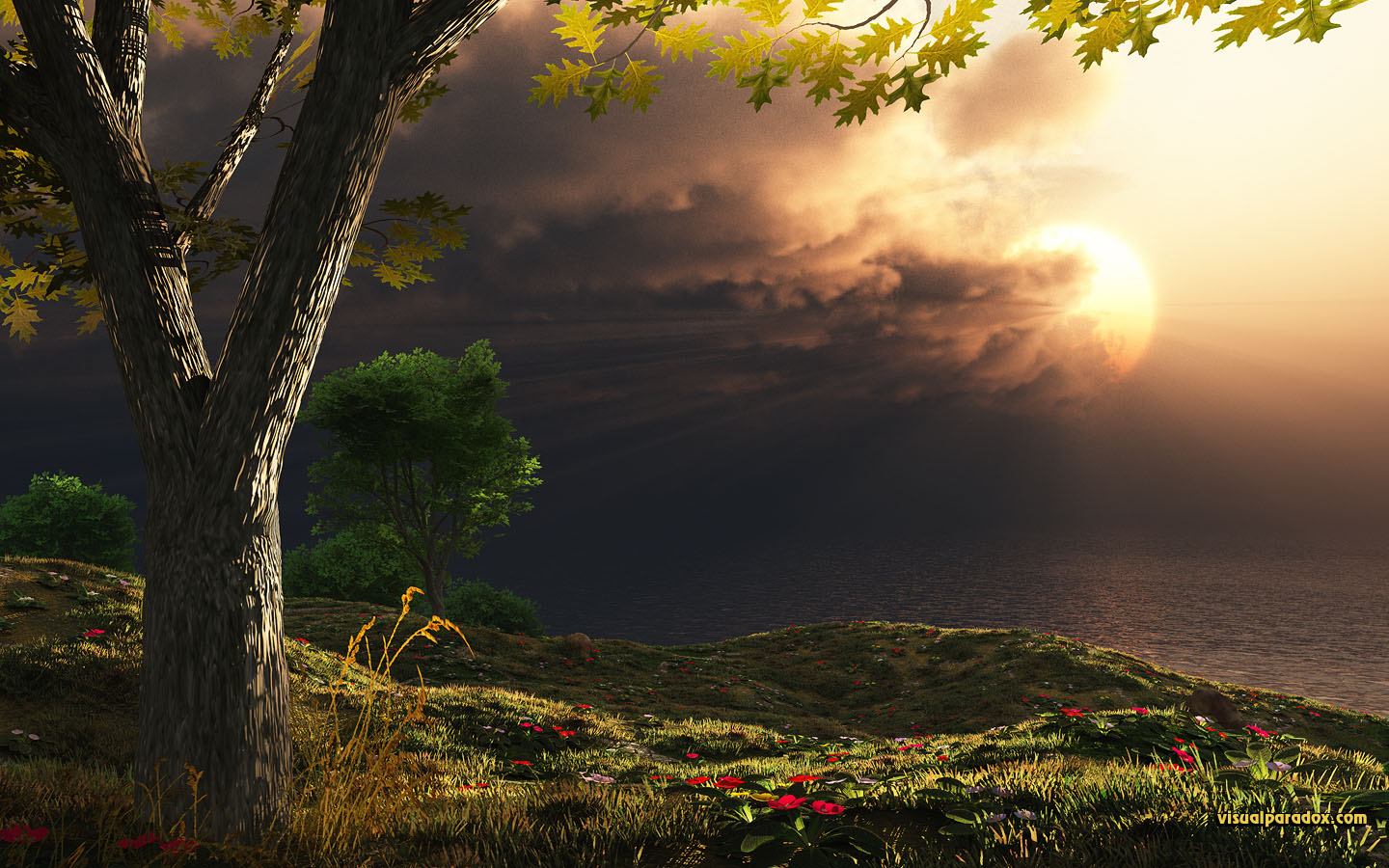 storms, clouds, sunrise, sunset, rays, light, tree, flowers, sun, 3d, wallpaper, widescreen