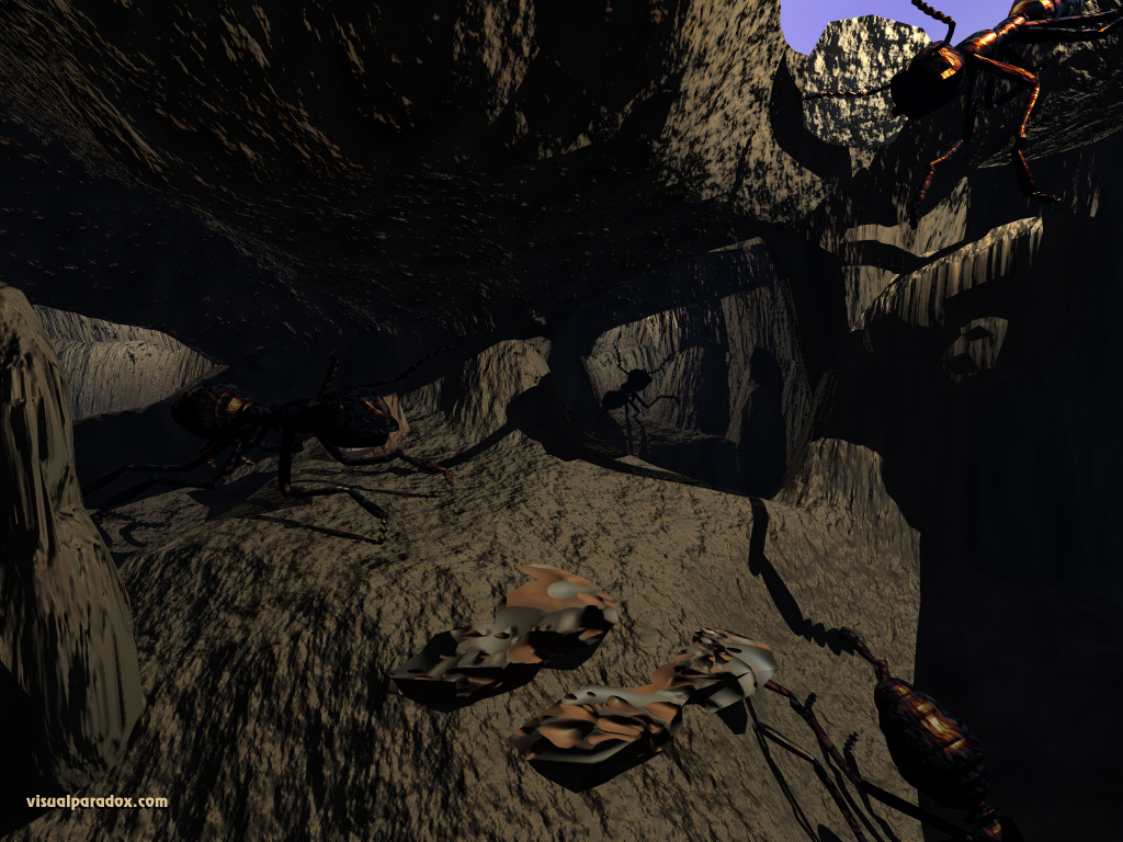 bugs, insects, colony, hole, cave, red, black, ants, borrow, lair, nest, hive, ant, bug, insect, 3d, wallpaper