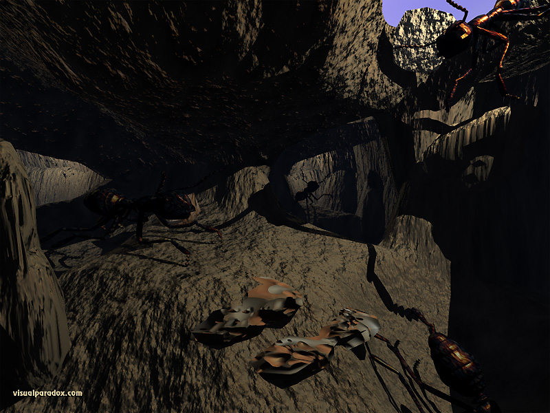 bugs, insects, colony, hole, cave, red, black, ants, borrow, lair, nest, hive, ant, bug, insect, 3d, wallpaper