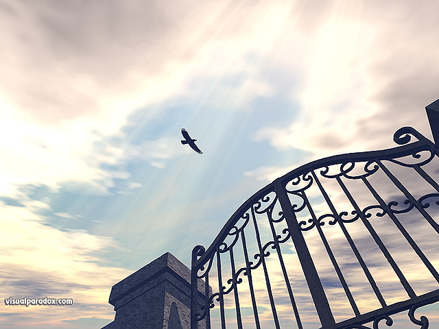 Free 3D Wallpaper 'As The Crow Flies' 640x400