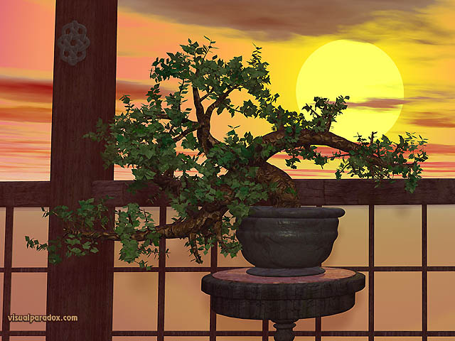 Free 3D Wallpaper 'Bonsai' 640x400