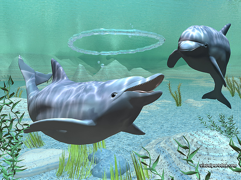 porpoise, dolphin, underwater, blue, blow, air, tricks,ocean, light, happy, joy, swim, bubbles, dolphins, animals, animal, 3d, wallpaper