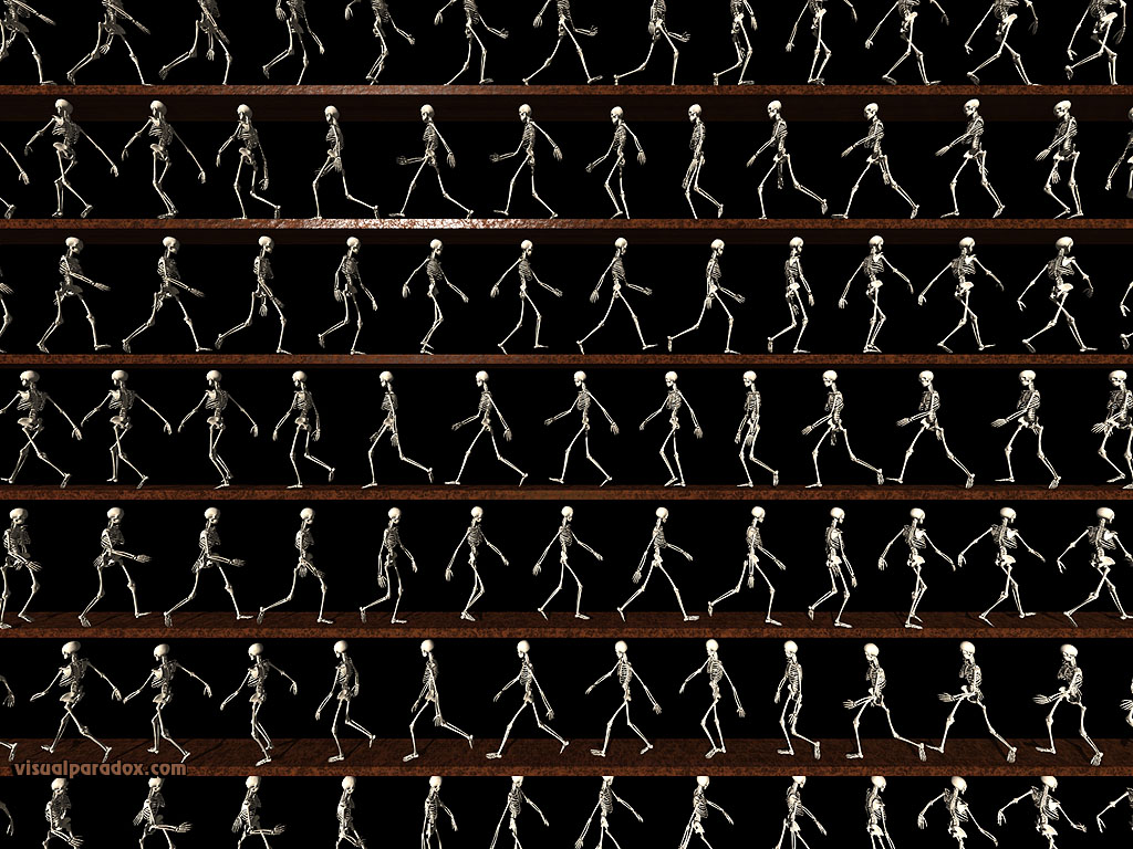skeletons, animation, line, bones, death, follow, stroll, lines, walking, 3d, wallpaper
