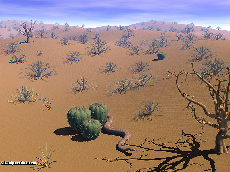 rattlesnake, brush, bush, hot, sand, dunes, dry, barren, animal, animals, 3d, wallpaper