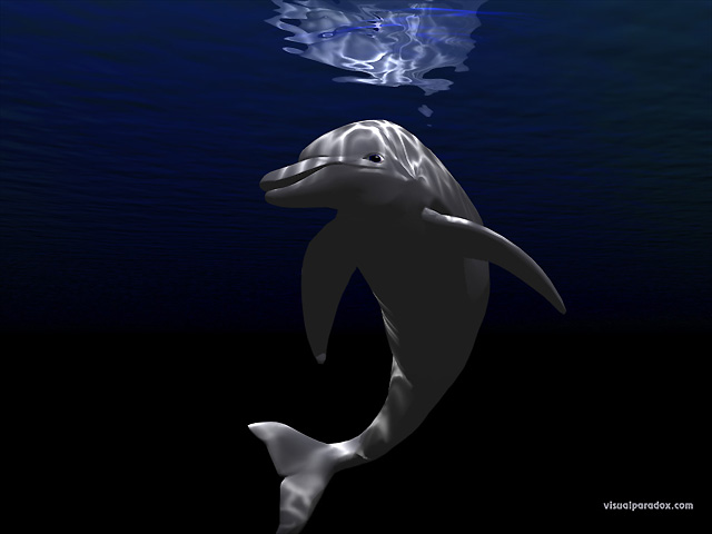 3d dolphin wallpaper. Free 3D Wallpaper #39;Dolphin#39;