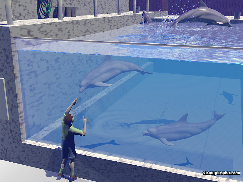 sea, world, tank, aquatic, porpoises, tricks, jumping, splash, dolphins, animal, animals, 3d, wallpaper