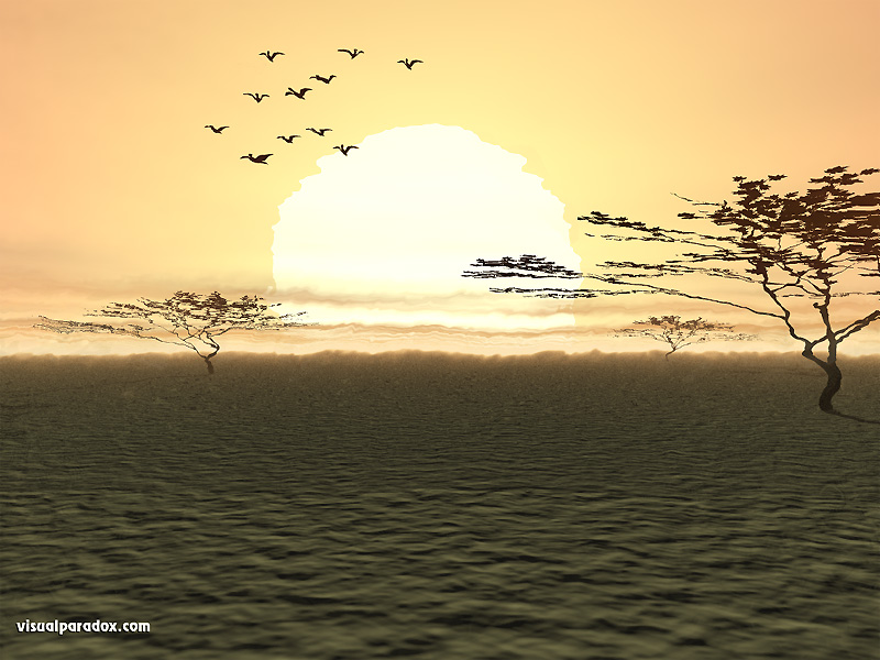 desert, africa, plain, hot, heat waves, birds, arid, drought, australia, summer, 3d, wallpaper