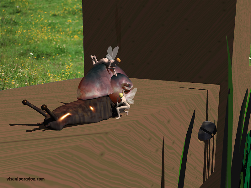 snail, slug, fairies, play, slow, hide and seek, small, 3d, wallpaper