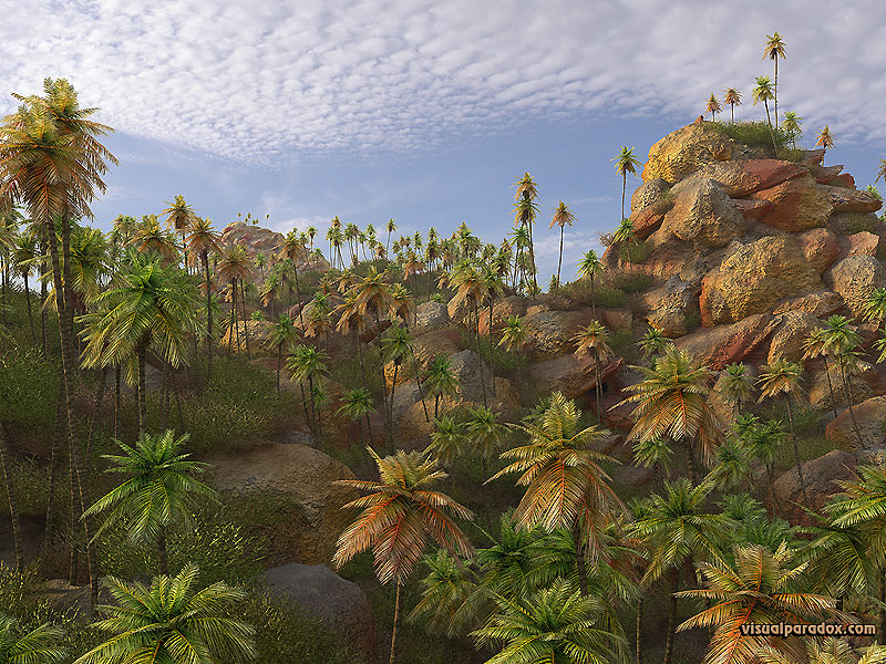 palm, trees, tropical, stones, rocky, tropics, coconut,  palms, tree, 3d, wallpaper
