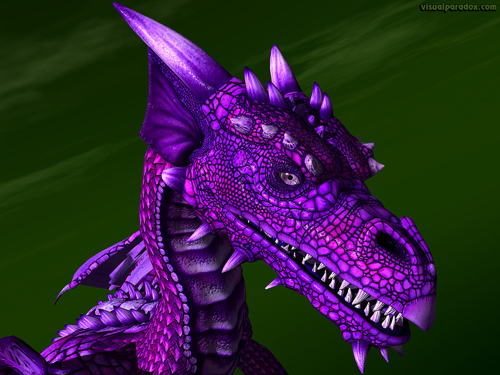dragon, wyrm, mythical, monster, soar, closeup, detail, violet, purple, dragons, 3d, wallpaper