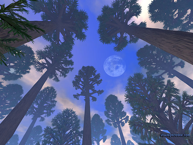 Free 3D Wallpaper 'Moon over the Sequoias' 640x400