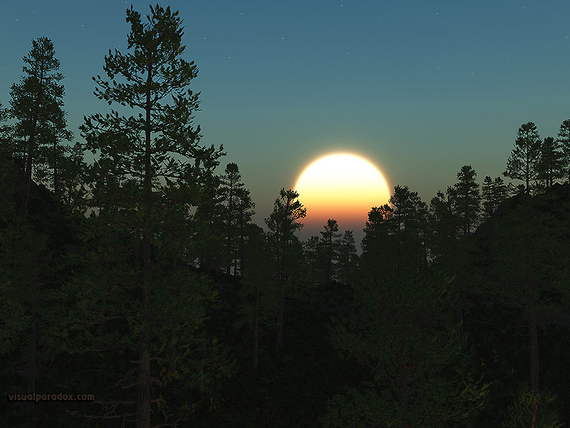 pine, sun, rise, set, trees, forest, woods, tree, scot, pines, stars, 3d, wallpaper