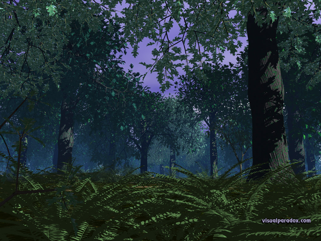 trees, forest, woods,ferns, leaves, dense, undergrowth, glen, tree, 3d, wallpaper