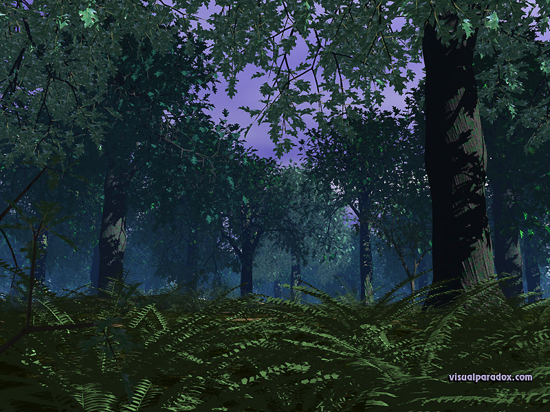 trees, forest, woods,ferns, leaves, dense, undergrowth, glen, tree, 3d, wallpaper