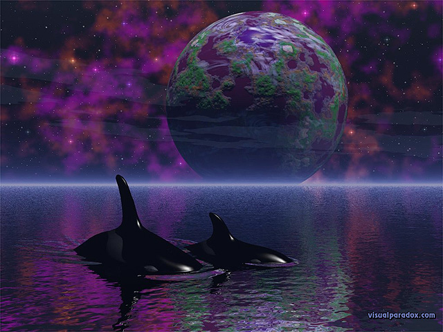Free 3D Wallpaper 'Orcas' Dream' 640x400