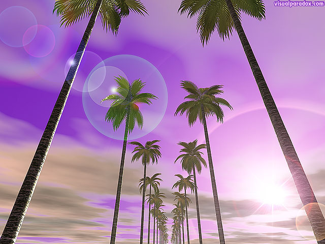 Free 3D Wallpaper 'Palm Row' 640x400
