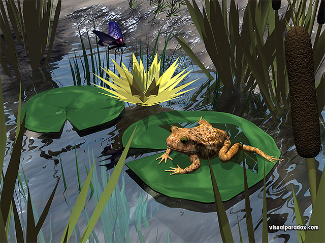 Free 3D Wallpaper 'Puddle Jumper' 640x400