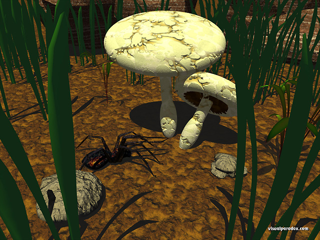 Free 3D Wallpaper 'Spider Shelter' 640x400