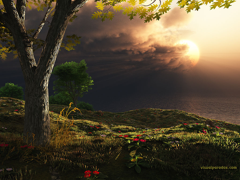 storms, clouds, sunrise, sunset, rays, light, tree, flowers, sun, 3d, wallpaper