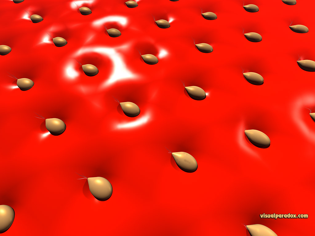 fruit, berry, seeds, red, closeup, zoom, skin, 3d, Strawberry