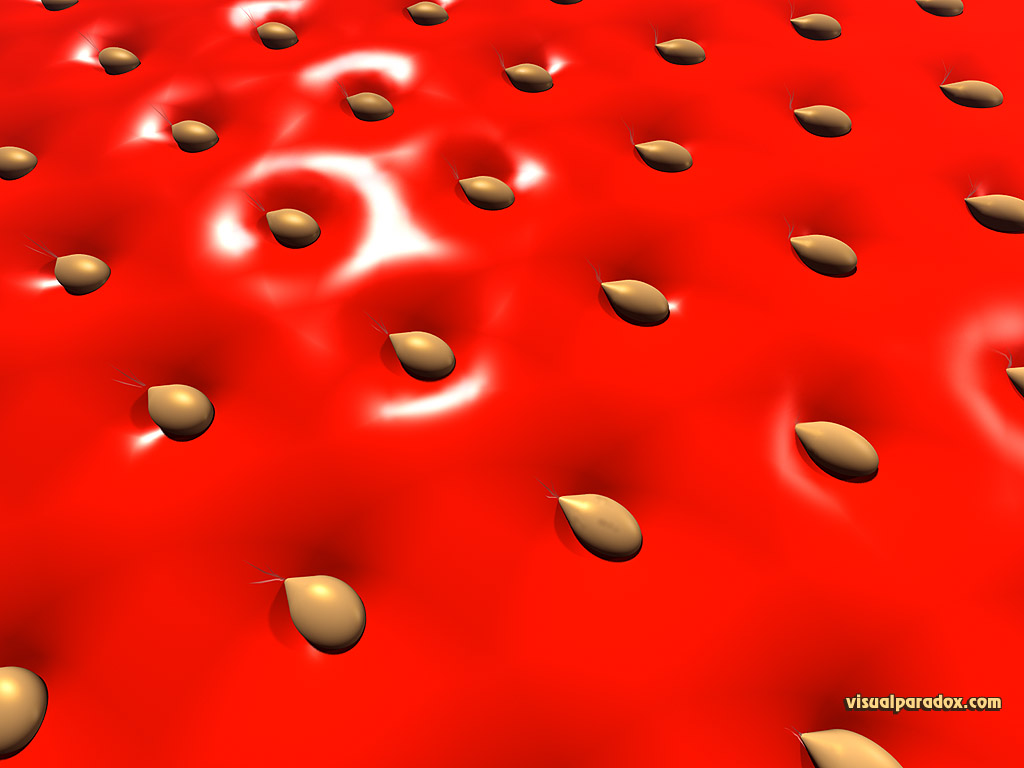 fruit, berry, seeds, red, closeup, zoom, skin, 3d, wallpaper