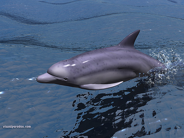 Free 3D Wallpaper 'Whish Upon A Wave' 640x400