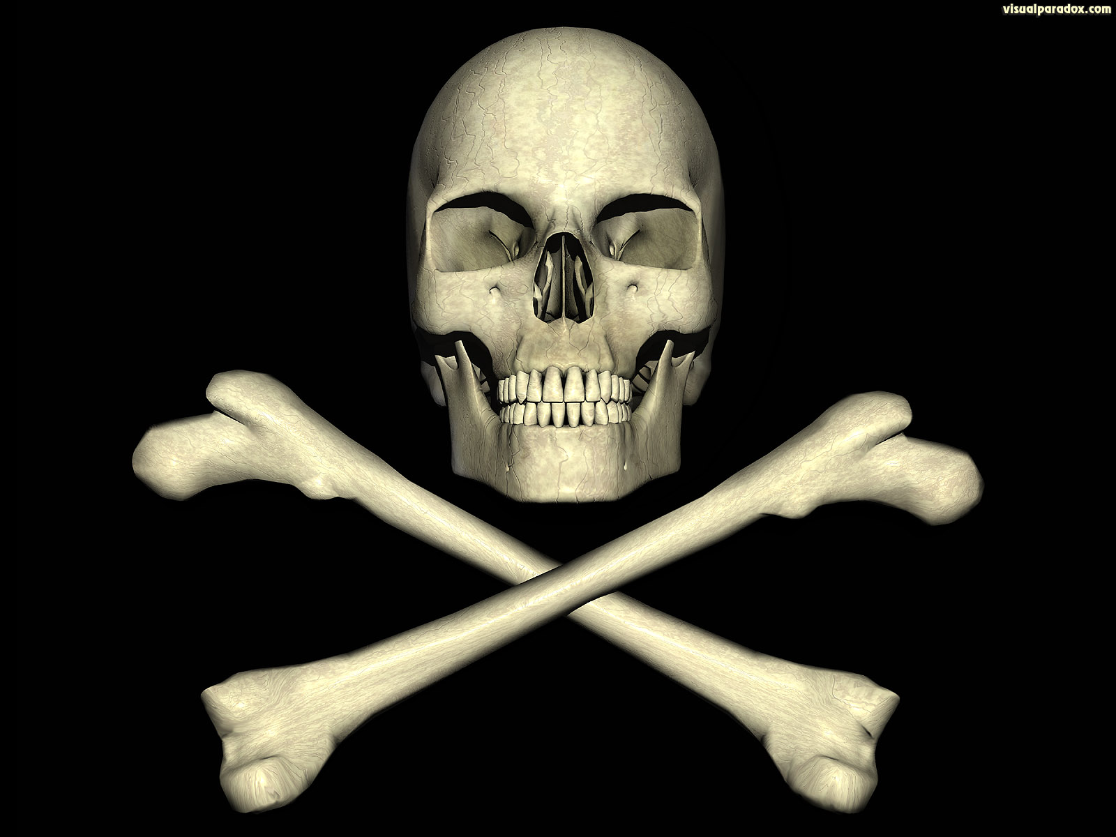jolly, roger, skull, pirate, bones, poison, deadly, danger, pirates, dangerous, 3d, wallpaper