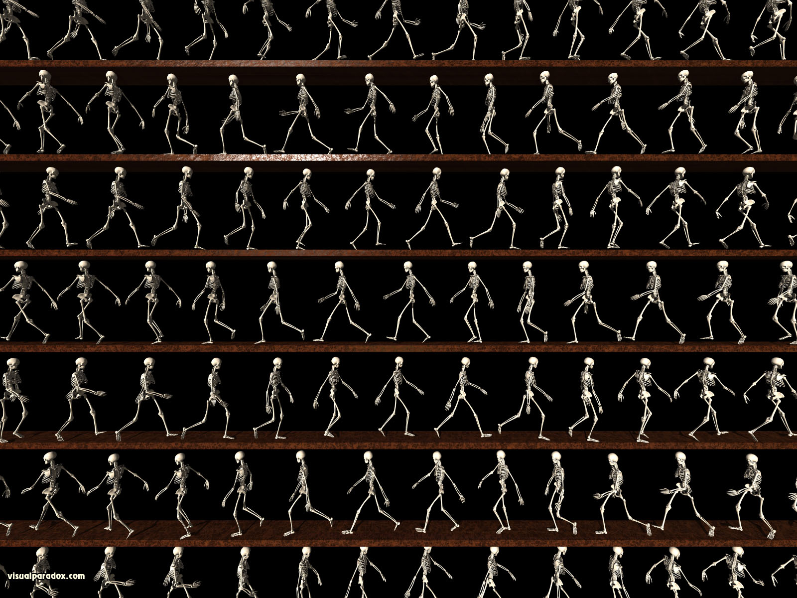 skeletons, animation, line, bones, death, follow, stroll, lines, walking, 3d, wallpaper