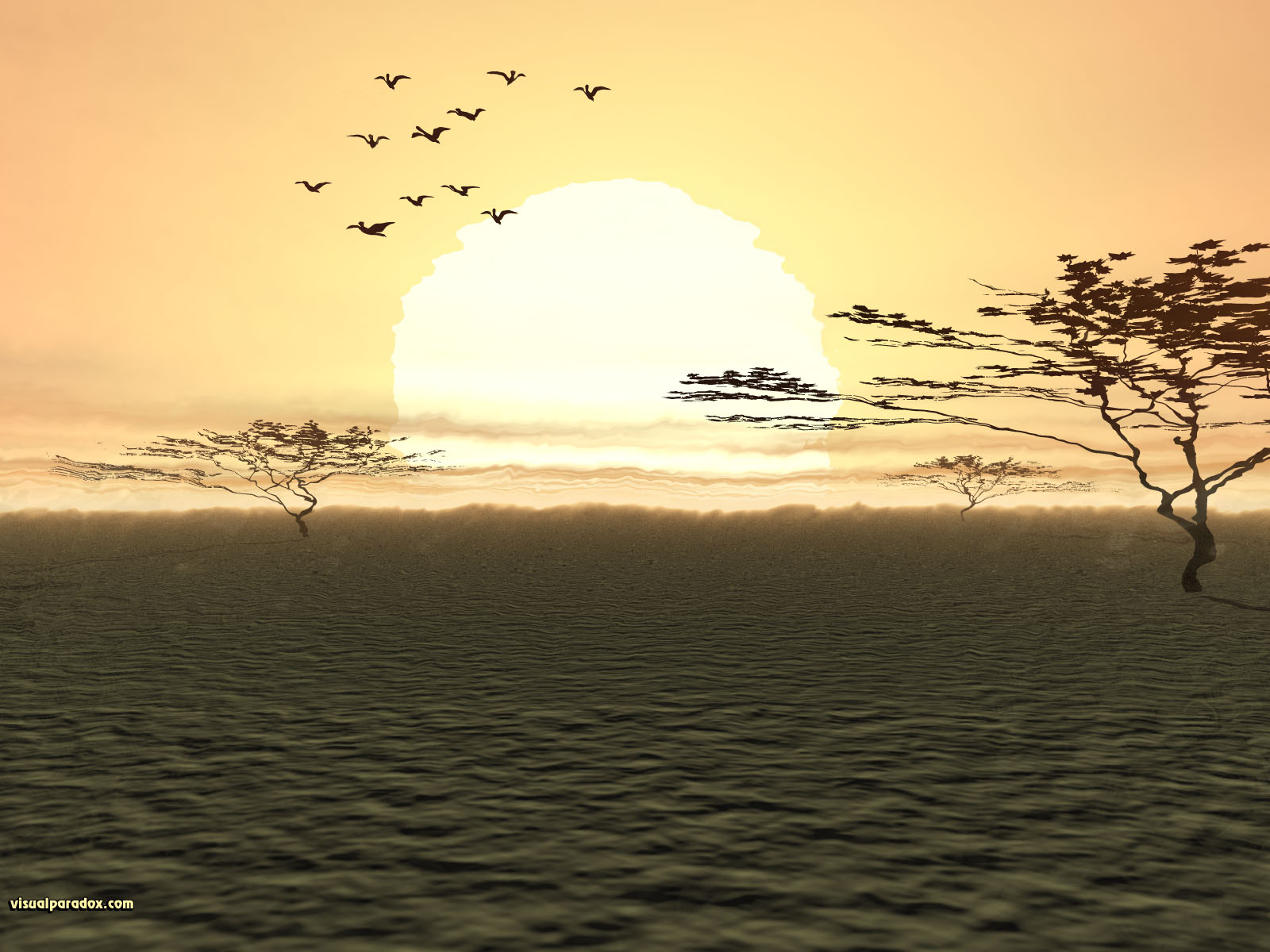 desert, africa, plain, hot, heat waves, birds, arid, drought, australia, summer, 3d, wallpaper
