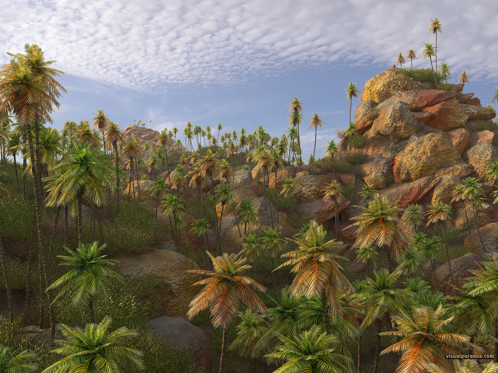 palm, trees, tropical, stones, rocky, tropics, coconut,  palms, tree, 3d, wallpaper