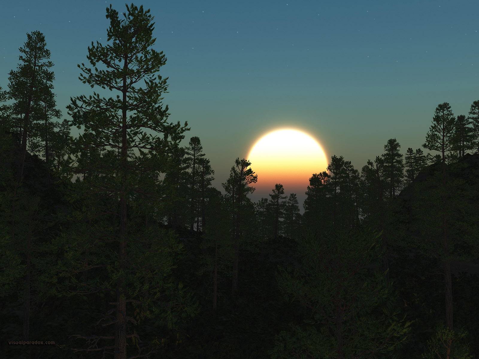 pine, sun, rise, set, trees, forest, woods, tree, scot, pines, stars, 3d, wallpaper
