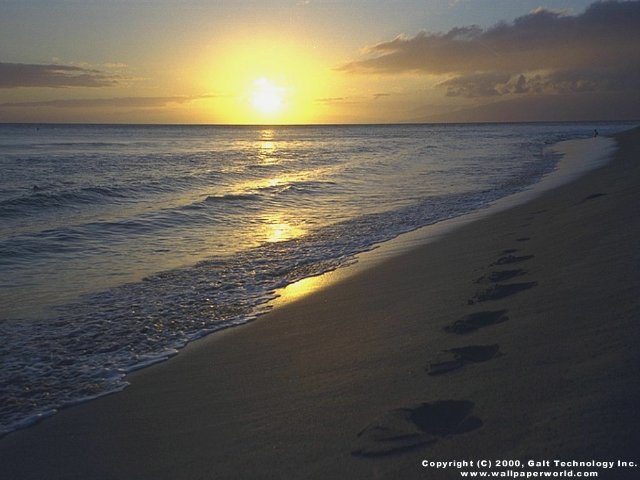 'Footprints' 640x480 Free 3D Wallpaper