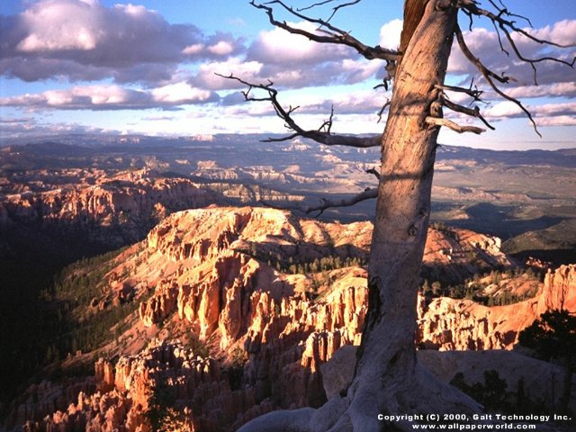 'Canyon' 640x480 Free 3D Wallpaper