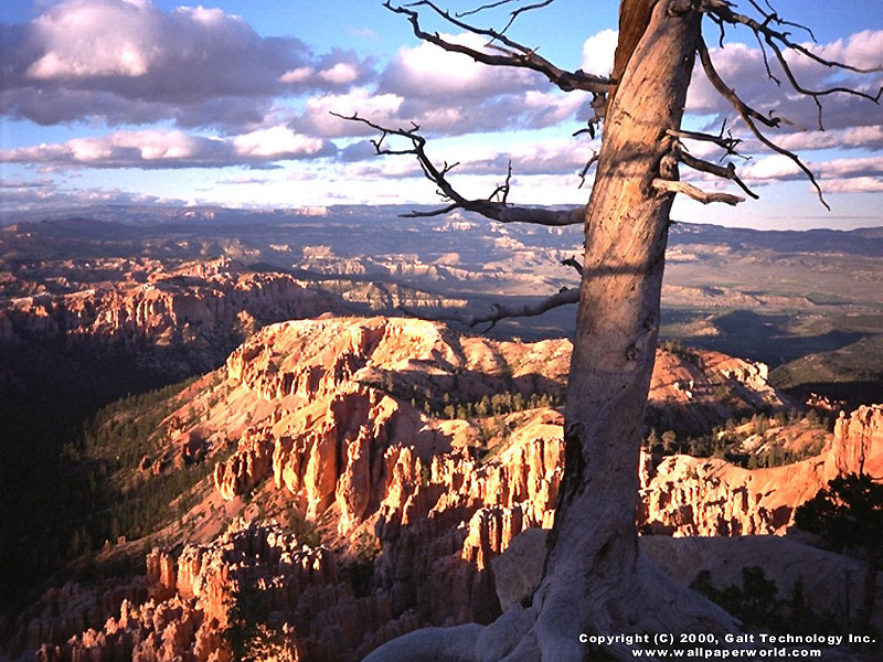 'Canyon' 800x600 Free 3D Wallpaper