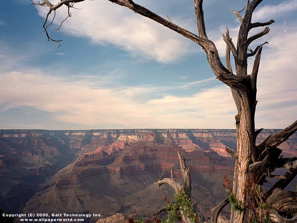 'Grand Canyon 3' 1024x768 Free 3D Wallpaper
