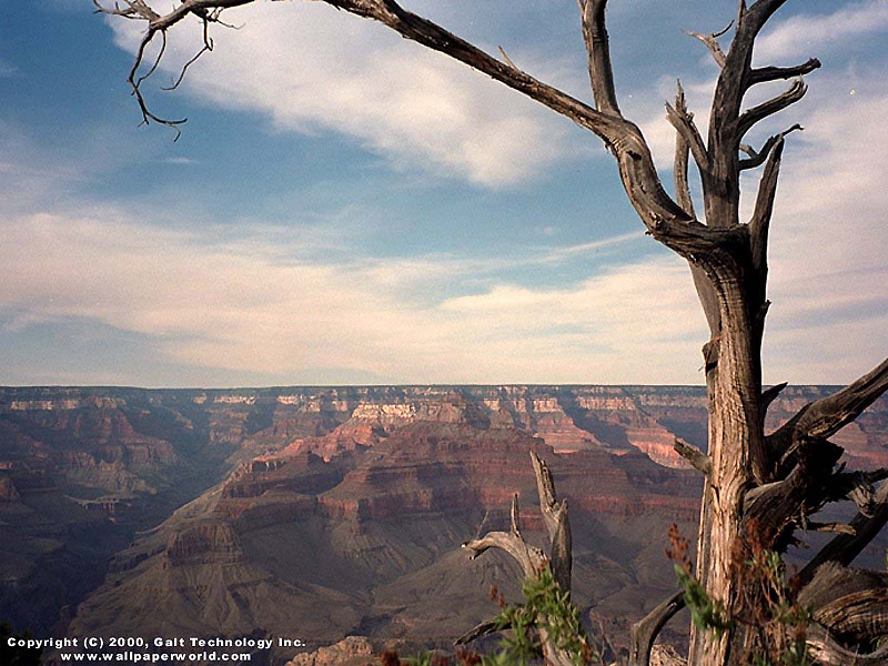 'Grand Canyon 3' 800x600 Free 3D Wallpaper