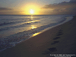 Footprints Wallpaper