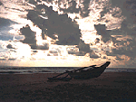 Low Tide Wallpaper