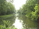 'Canal' Wallpaper