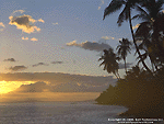 Tropical Coast Wallpaper