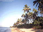 Fiji Island Wallpaper