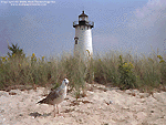 Lighthouse Wallpaper