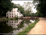 Mill Pond Wallpaper
