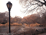 New York Central Park Wallpaper